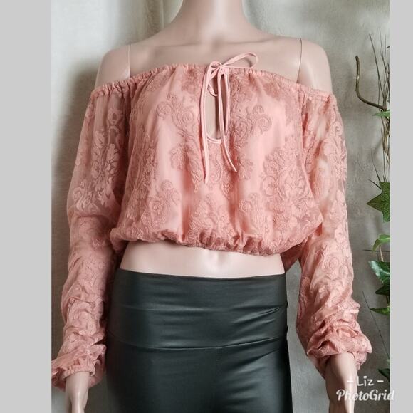 Honey Punch Rose Pink Lace Long Sleeve Crop Top - Picture 2 of 6